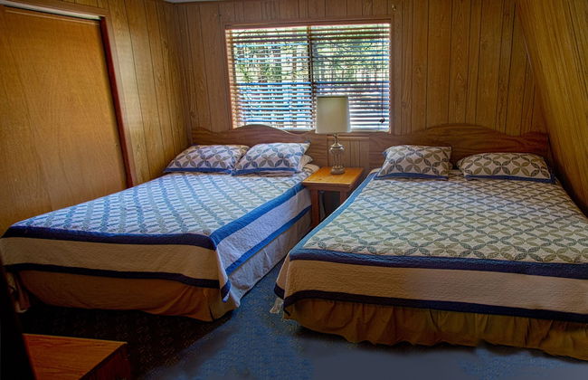 Golden Bear Cottages - Foto 4