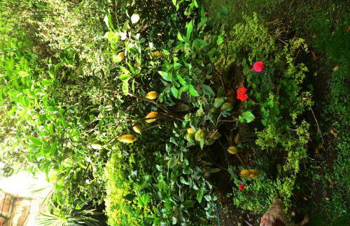 L'Antica Dimora - Foto 11