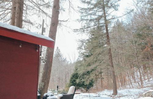 Hot Tub, Wood-burning Fireplace and 4 acres of Forest in Margaretville - Foto 28