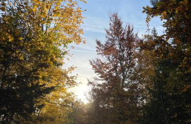 Osobie - dom z widokiem na góry - Foto 24