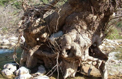 Nymfes Villas - Foto 60