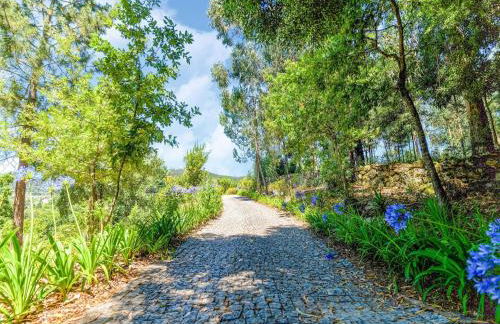 Forest Hideaway Near Douro Valley - Foto 59