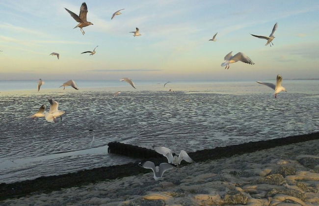 Dyke Space 50 m to the Beach sea - Foto 19