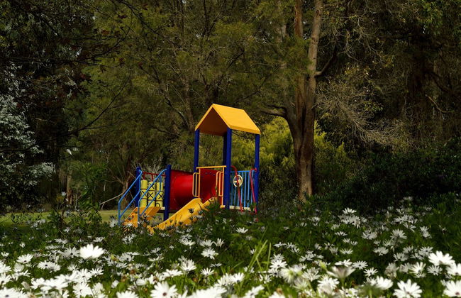 Diamond Forest Farm Stay - Foto 19