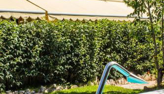 Kalypso Studios & Apartments - Foto 2