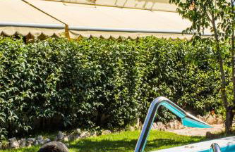 Kalypso Studios & Apartments - Foto 2