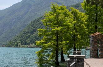 IseoLakeRental - Casa del Pescatore - Foto 53