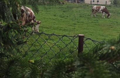 Apartament Między górą a rzeką Trybsz - Foto 9