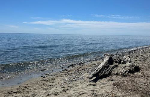 Appartement n 79 Moriani plage - Foto 46