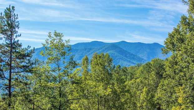 Servizio della struttura
