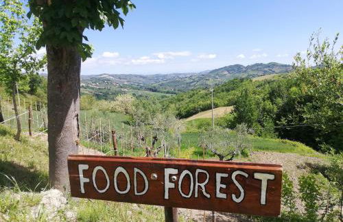 Agriturismo La Vecchia Fontana - Photo 54