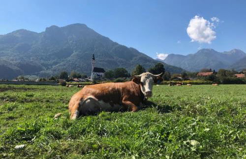 Ferienwohnung Oberschopper - Foto 10