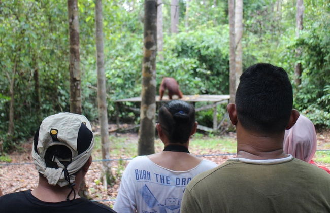 Houseboat Bee Kelotok - Foto 46