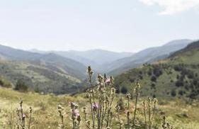 Apartamentos Turísticos Real Valle Ezcaray - Foto 110