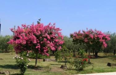 Casa Vacanze Le Rose - Foto 11