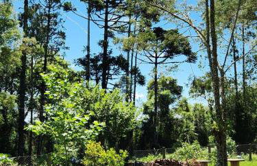 Chalé manacá da Serra - Foto 18