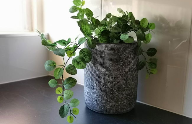 Palm Waters Holiday Villas - Foto 12