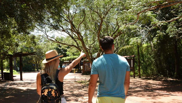 Promenade vers les cascades