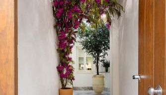 Genteel Home Patrocinio Cádiz - Foto 5