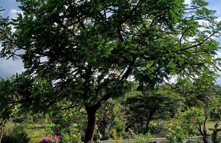 Maria Bonita Eco Pousada - Foto 39