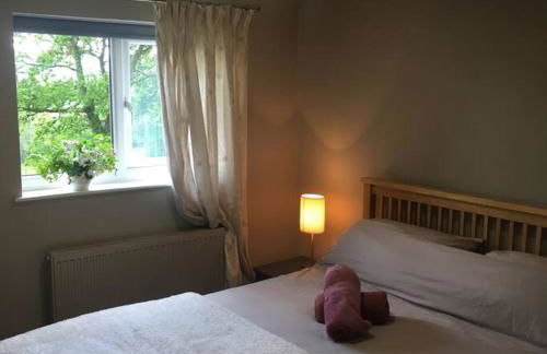 Beautiful Garden Cottage, close to Llandeilo. - Photo 27