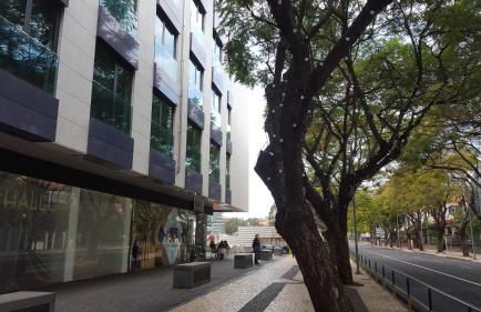 Astro Madeira Apartments - Foto 14