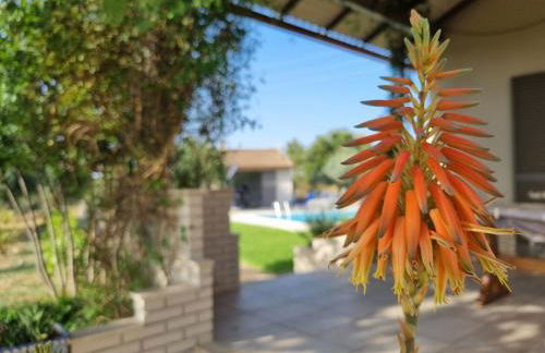 Accogliente villa con piscina - Foto 42