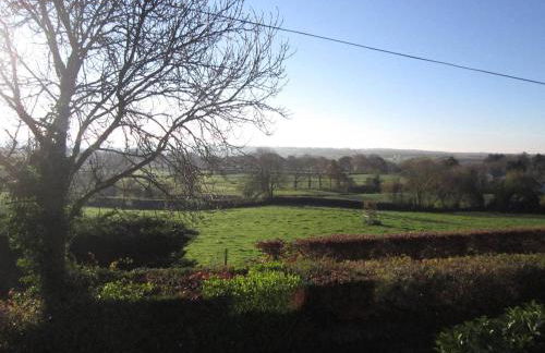 Ffyllon Fawr - Foto 24