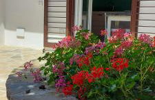 STELLA MARIS A - Foto 1