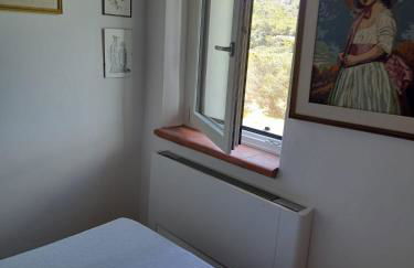 Fico d'india - Foto 10