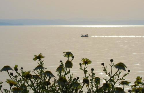 Amarandos Sea View Apartments - Photo 5