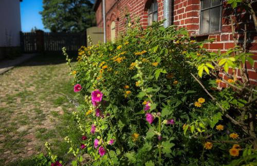 Farma Jamienko - Foto 35