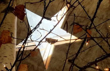 Romantic Glamping Dome in the Catskill Mountains near Woodstock, New York - Foto 25