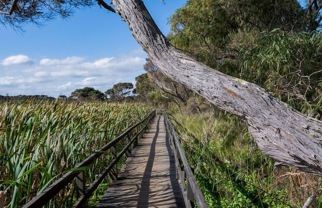 BIG4 Middleton Beach Holiday Park - Foto 59