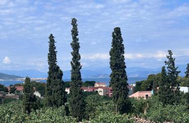 Pistachio House - Foto 27