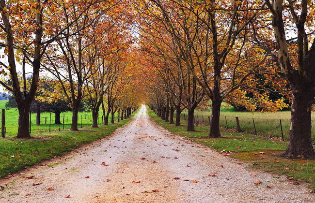 Point Bulli - Photo 17