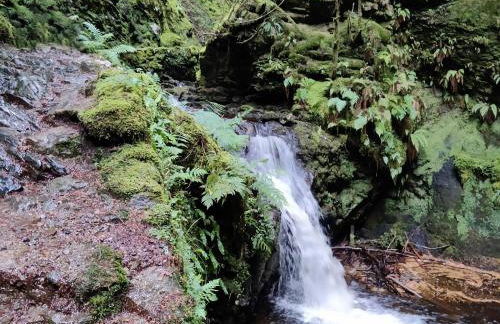 Willow Lodge - Foto 13