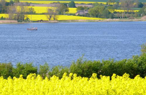 Ostsee Ferienhäuser - Foto 9