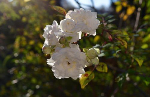 Le Val Clos, appartement dans une maison de maître 19e - Foto 34