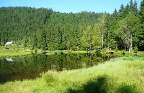 Haus Kuchler - Foto 25