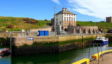 The Herring Queen - Foto 4