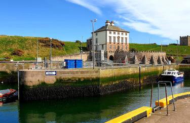 The Herring Queen - Foto 4