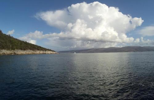 Apartments Plavčić - Foto 23