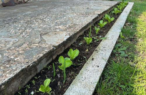 Eleni Country Cottage 2 - Foto 46