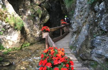 Casa Enrica Typ E2 - Foto 38