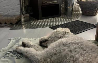 Ferienwohnungen Dorfliebe Dörnberg - Photo 47