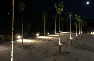 QUEEN appartamenti e camere - Foto 42