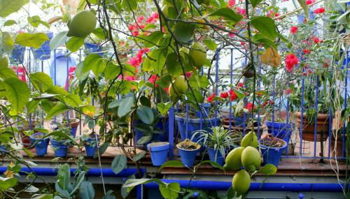 El patio azul Bohemio Mágico - Foto 5