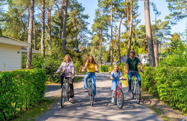 Holiday Home Suitable for Disabled People - Foto 21