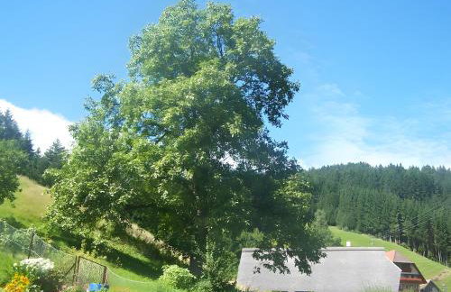 Gästehaus Brigitte Schoch - Foto 16